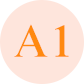 A1